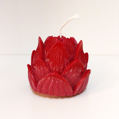 25-lotus-rood
